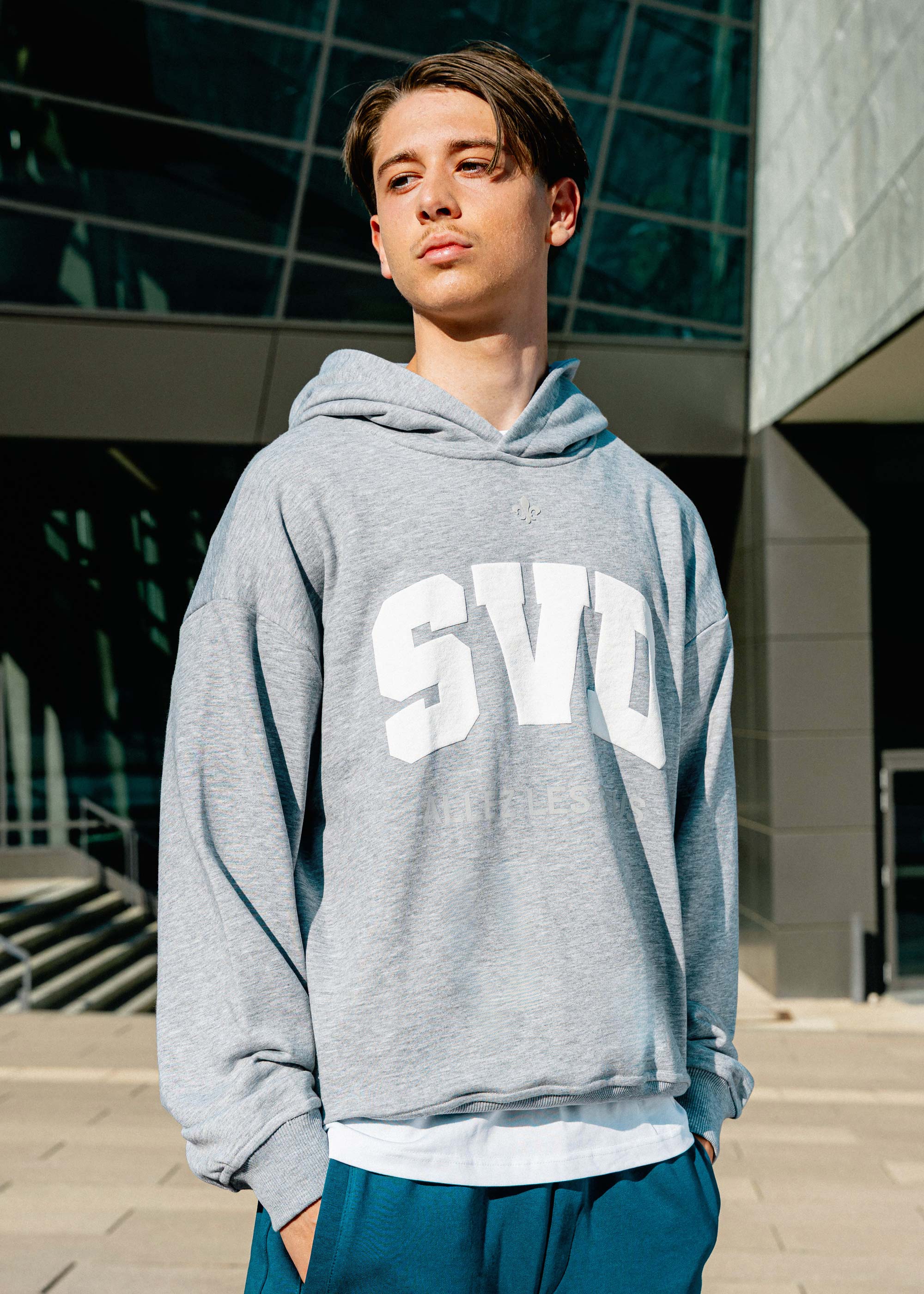 SV 98 Hoodie College Collection, grau